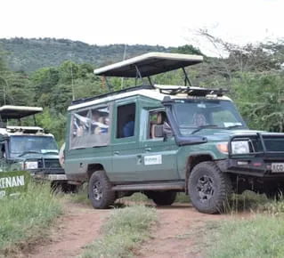 Kenya–Tanzania Combined Safaris