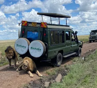 Masai Mara Safaris